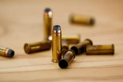 Deadly standoff on Western Cape farm: Gunman killed, police officer injured