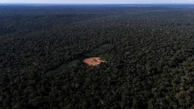 Desmatamento na Amazónia e Cerrado tem menor taxa da série histórica