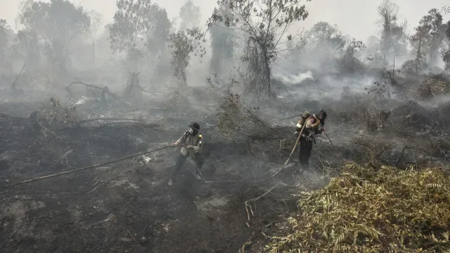 Milhões em risco de infeção respiratória na Indonésia devido a incêndios