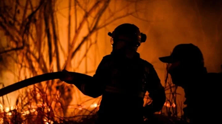Afectados por incendios forestales en Tolima recibirán 343 subsidios de $65 millones cada uno y otras ayudas