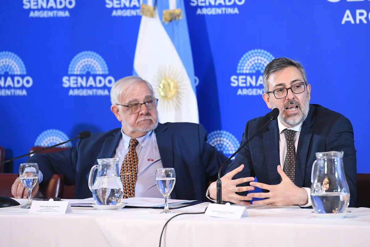Avanza el armado judicial libertario: el Senado trata los pliegos de otros 14 candidatos
