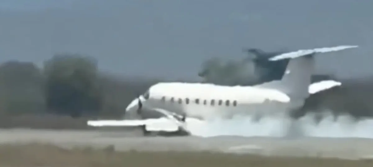 Una avioneta con 30 pasajeros a bordo tuvo que abortar el despegue tras chocar y matar a una cebra