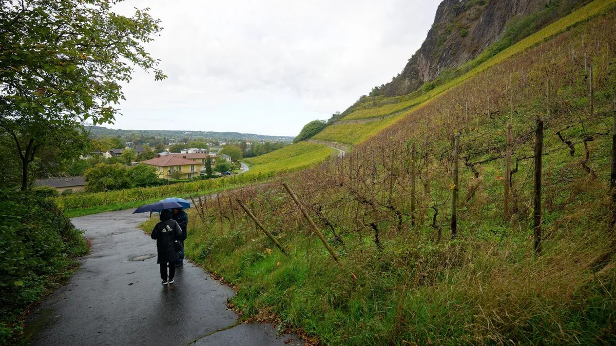 Wetter am Wochenende: Der Herbst macht ernst: Tief Irima bringt Regen und Kälte