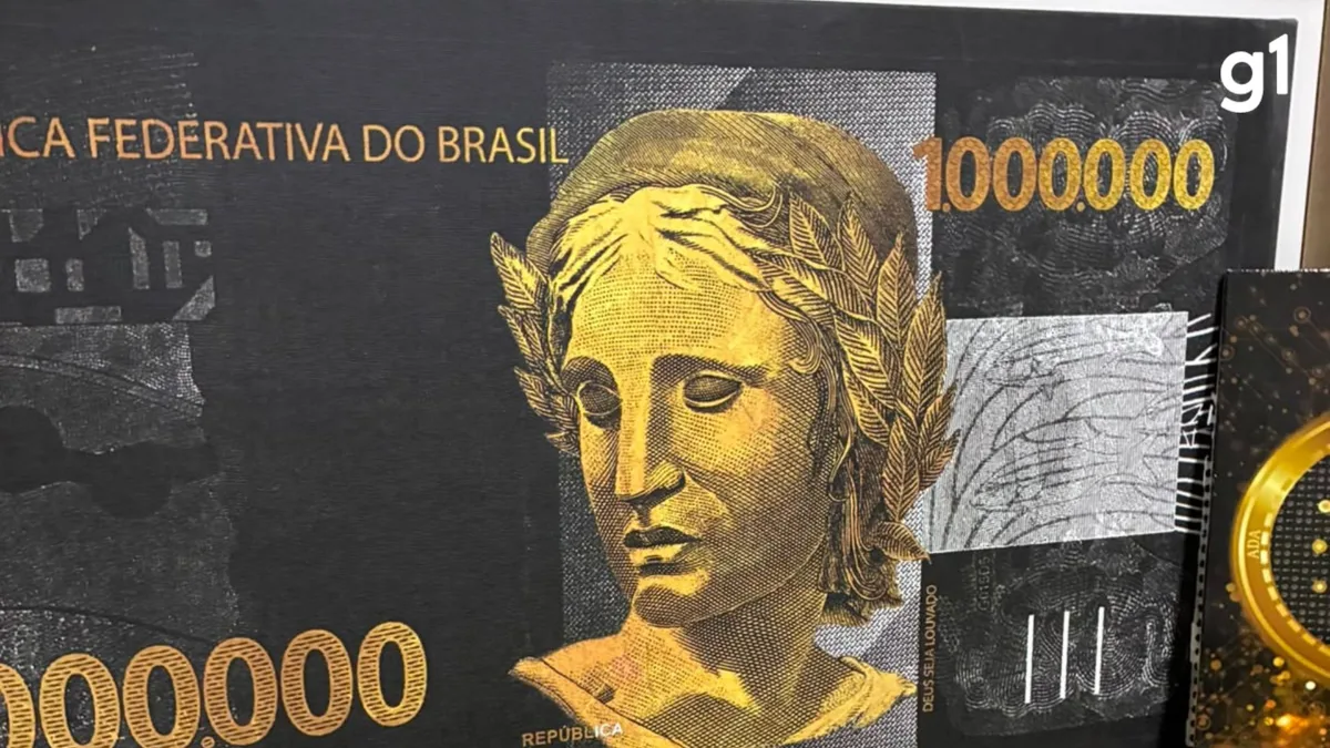 Saldo de mentira, grupo com professor falso e site com aparência profissional: como era o esquema sofisticado que fez aposentada perder R$ 37 milhões