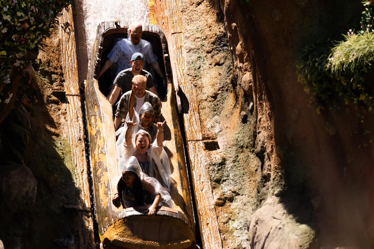 Disneyland warns not to stand up on its log-flume ride or risk getting booted from the park