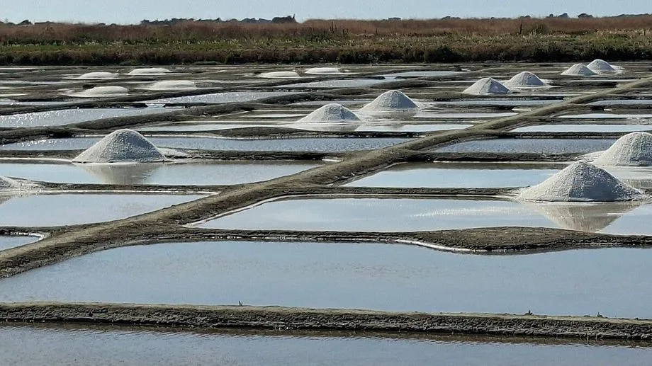 Les sauniers de Noirmoutier battent leur record de récolte de sel avec plus de 5.500 tonnes cet été