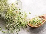 Recall of packaged produce classed as highest risk level as dozens are sickened by deadly bacteria... 'reasonable probability of death'