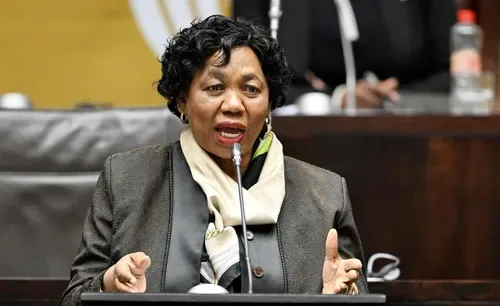 Motshekga: military and police must target organised crime kingpins