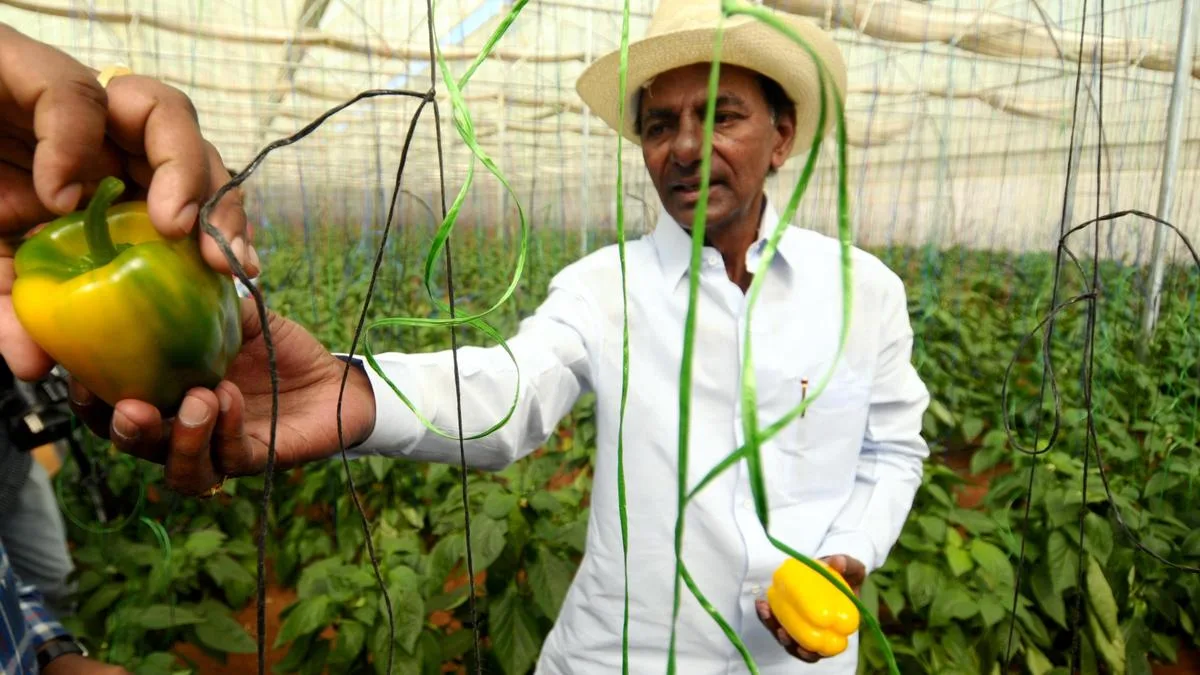 Revenue officials begin verification of lands at KCR’s Erravalli farmhouse