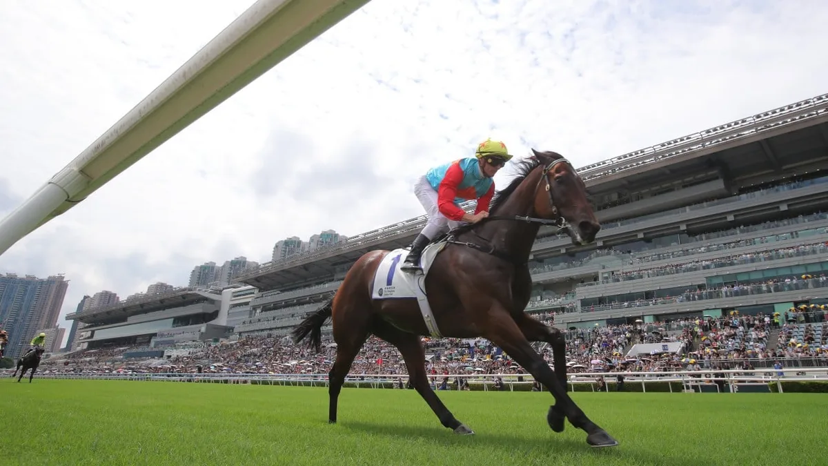 Champion galloper Ka Ying Rising creates history with highest ever rating for a sprinter