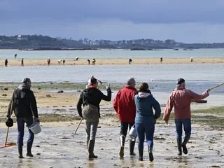 Sur les côtes françaises, les PFAS sont omniprésents dans les organismes marins, selon une nouvelle étude