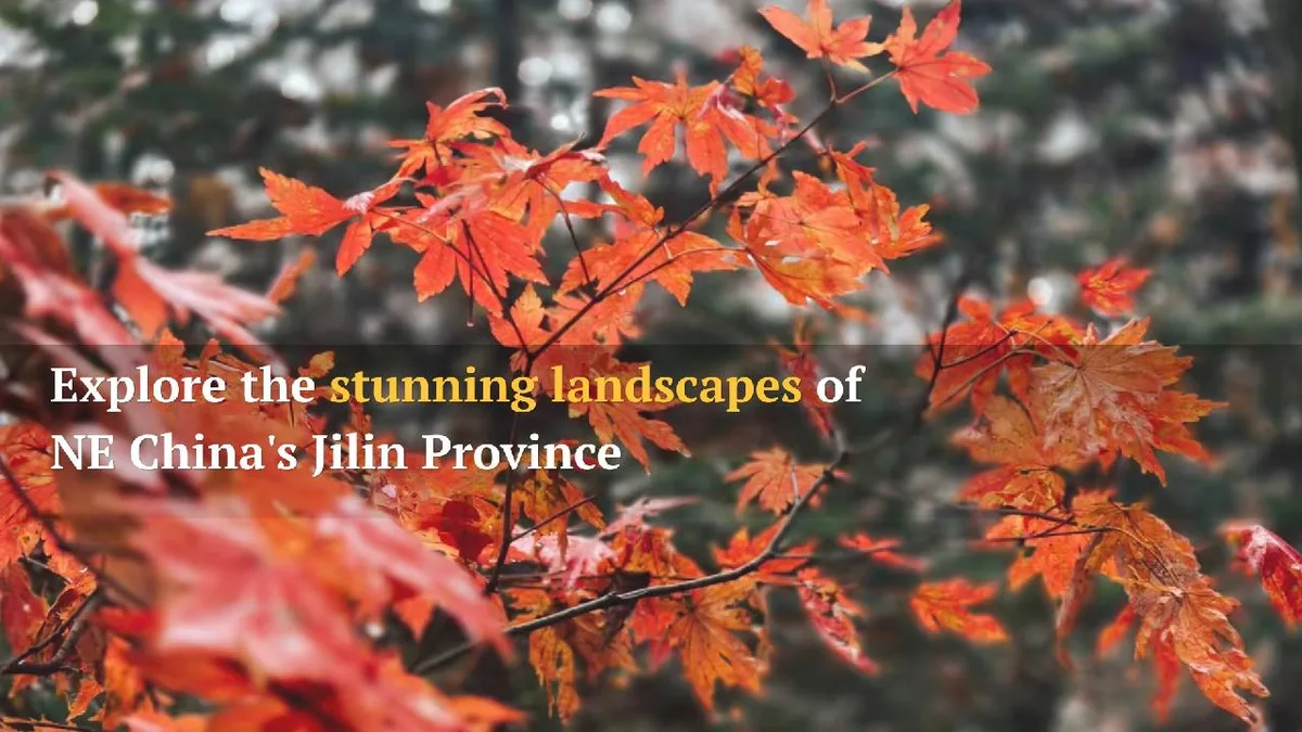 Explore the stunning landscapes of NE China's Jilin Province