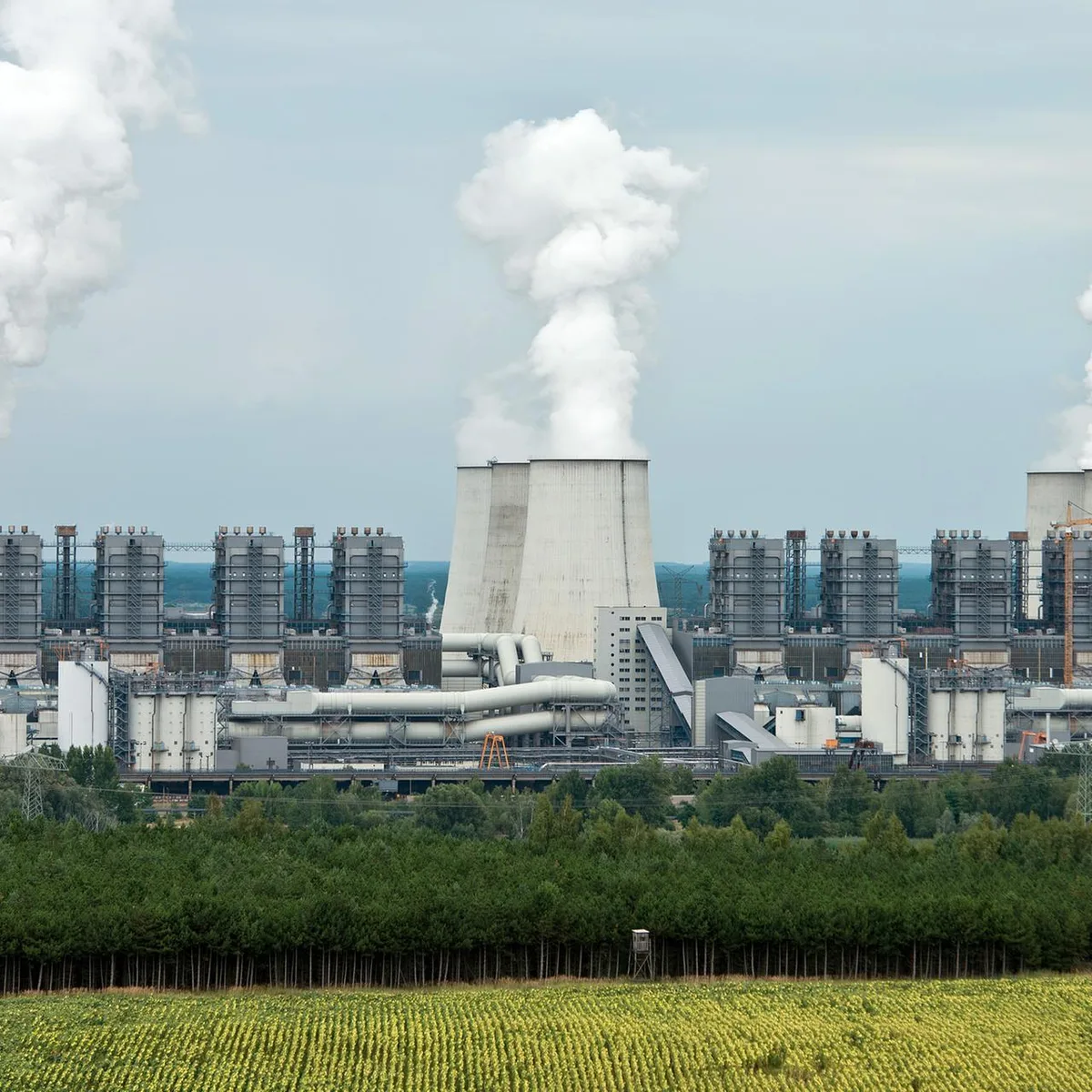 In der Nähe von Kohlekraftwerk - Sprengvorrichtungen an Umspannwerk in Brandenburg gefunden - Sabotage sollte Blackout auslösen