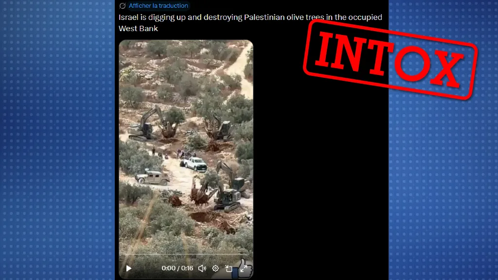 En Cisjordanie, les oliveraies sont attaquées par les colons mais cette vidéo d’arrachage est factice