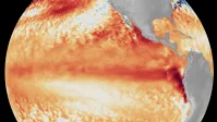 Sistema alimentar global mostra resiliência ao super El Niño