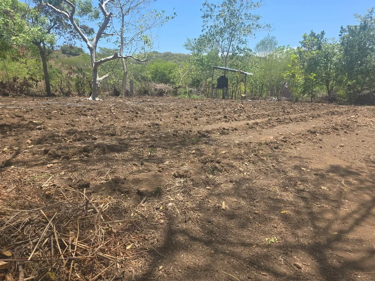 Honduras enfrenta riesgo de sequía, alza de precios y presión eléctrica por el fenómeno de El Niño, advierte CEPAL