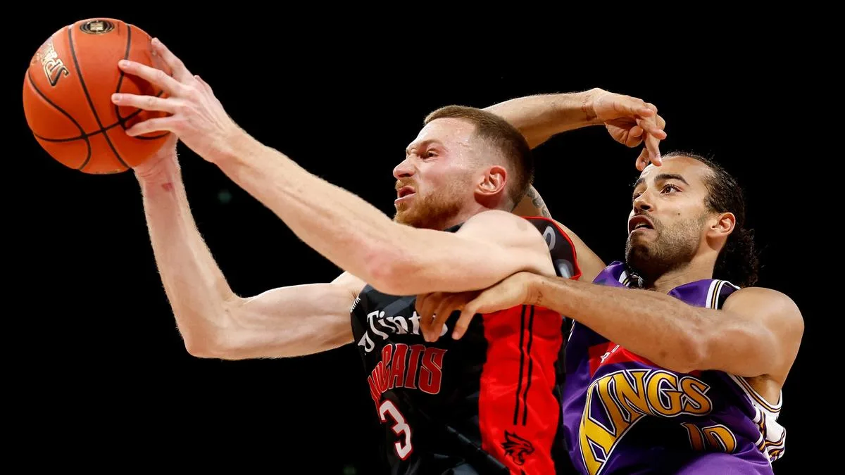 Perth Wildcats know they can learn from NBL loss to Sydney Kings without Kristian Doolittle and Jo Lual-Acuil
