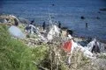 Tres inmigrantes detenidos tras agredir e intentar robar a un guardia civil fuera de servicio en Ceuta