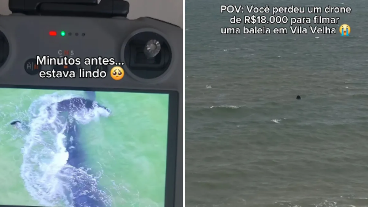 Influenciador perde drone de R$ 18 mil ao registrar baleia e filhote no ES