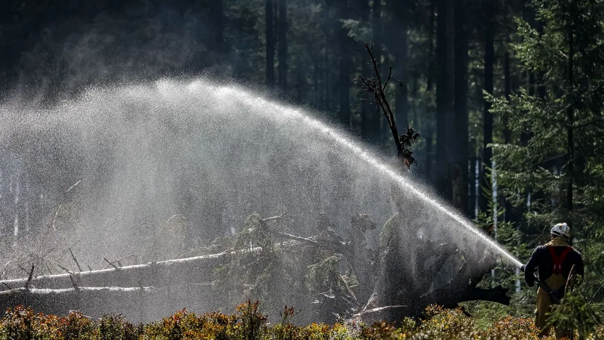 Feuer im Naturschutzgebiet: Gouverneur: Brand im Hohen Venn zunehmend unter Kontrolle