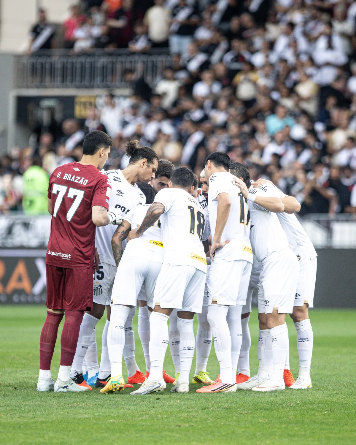Em alta, Santos busca vaga nas quartas da Sul-Americana para consolidar boa fase