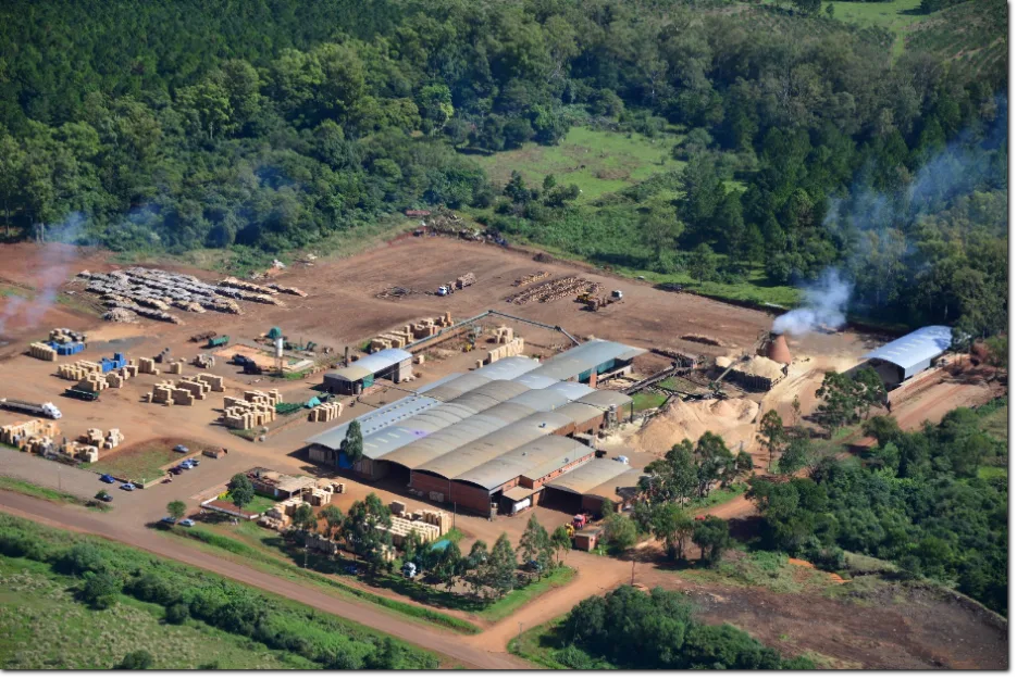 Quebró uno de los aserraderos productores de pallets más grandes del país