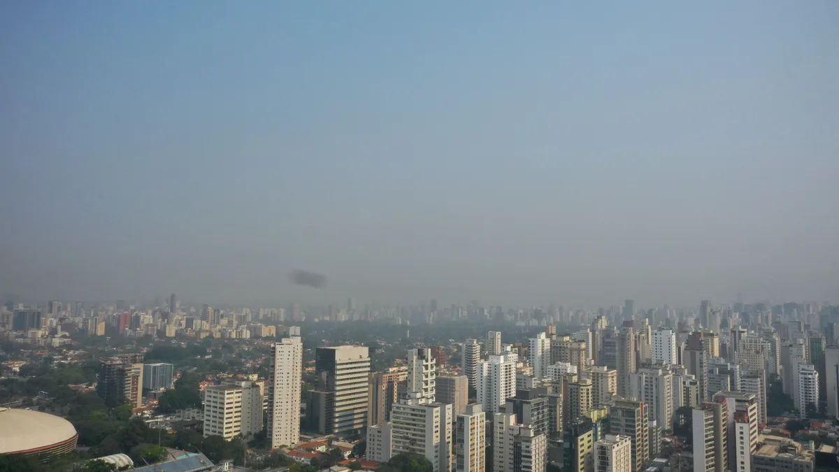 Eleições em SP: o que cabe ao governo do estado no Meio Ambiente
