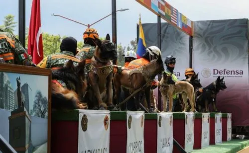 Desfile del 16 de septiembre sigue EN VIVO