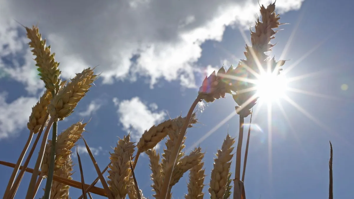 Wetteraussichten: Sonne zeigt sich zum Wochenstart