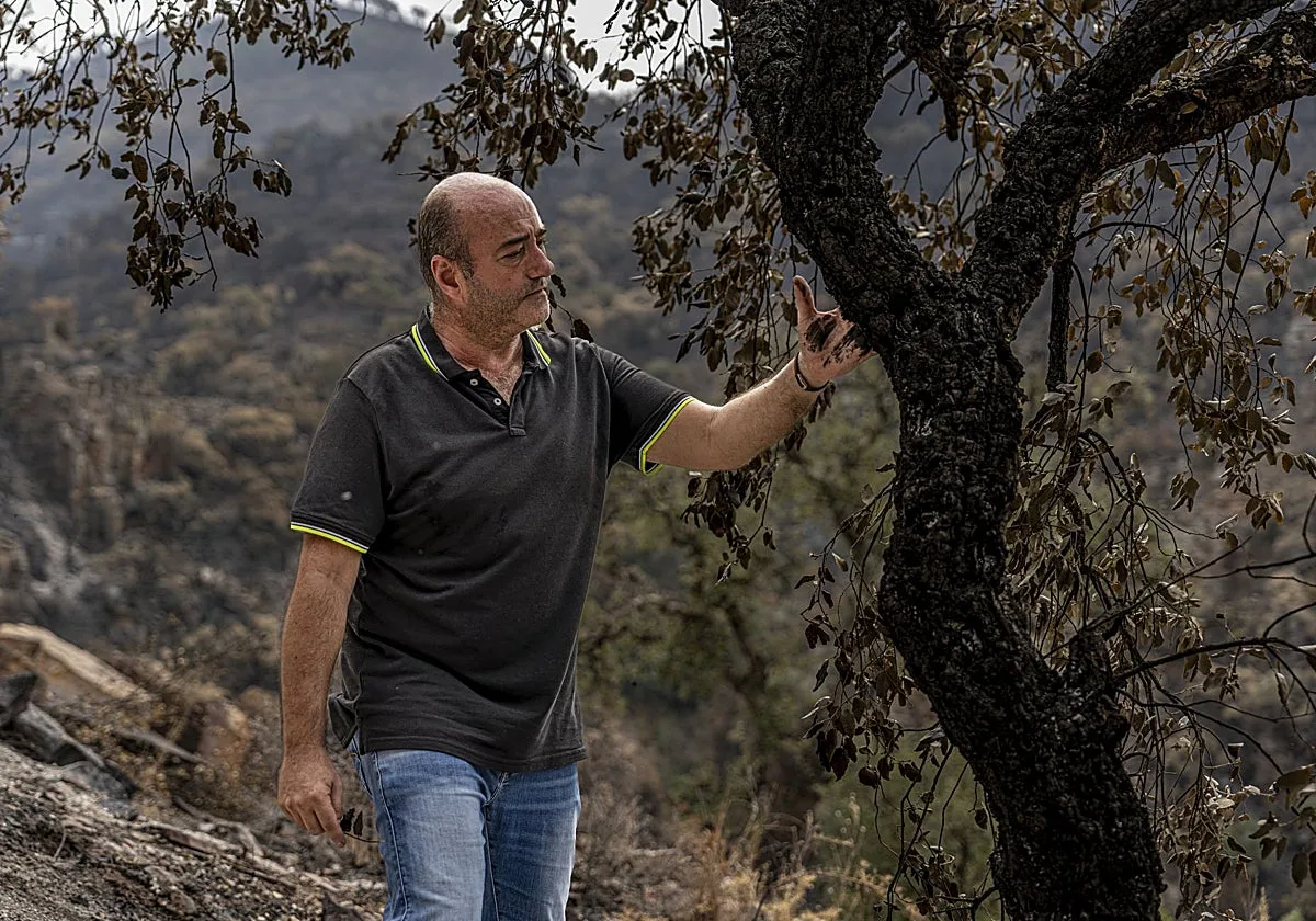 Las manos tiznadas por el corcho quemado: «El árbol no ha muerto, pero no sacaremos nada en 45 años»