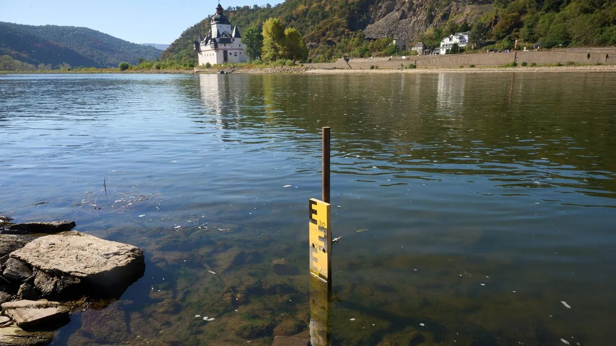 Niedrigwasser: Nach Regen leicht steigender Wasserstand im Rhein