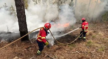 Incêndio em Vila Pouca de Aguiar em fase de resolução