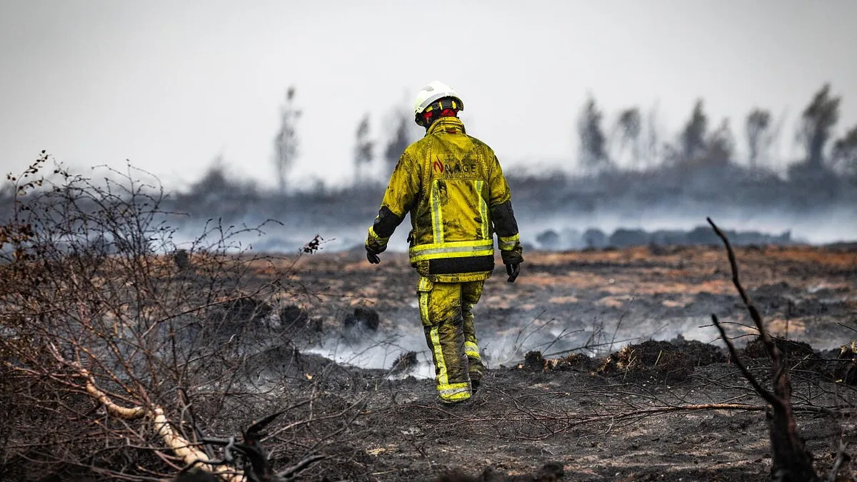 Feuerwetter: Diese Faktoren bestimmen, wie viel Fläche künftig in Europa brennt