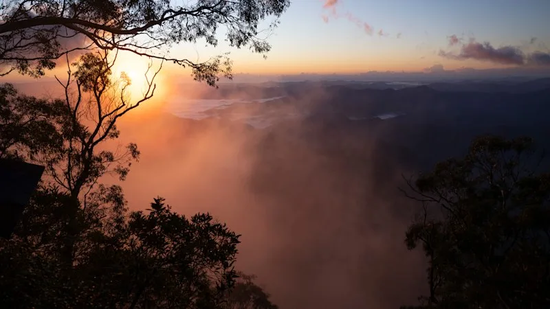 Outdoor recreation taken into the fold as the new koala park draws closer