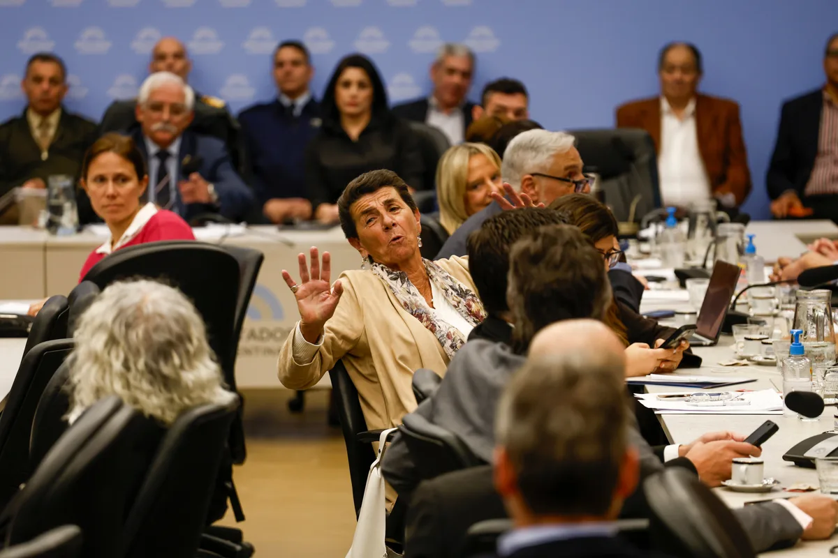 Malvinas: principios constitucionales y de política internacional