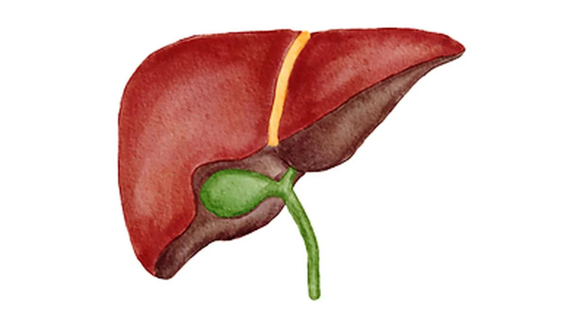Zydus Hospital, Ahmedabad crosses 300 Liver Transplants - Highest in Gujarat
