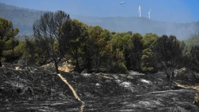 Arderam já 900 hectares em fogo de Santo Tirso com três frentes ativas