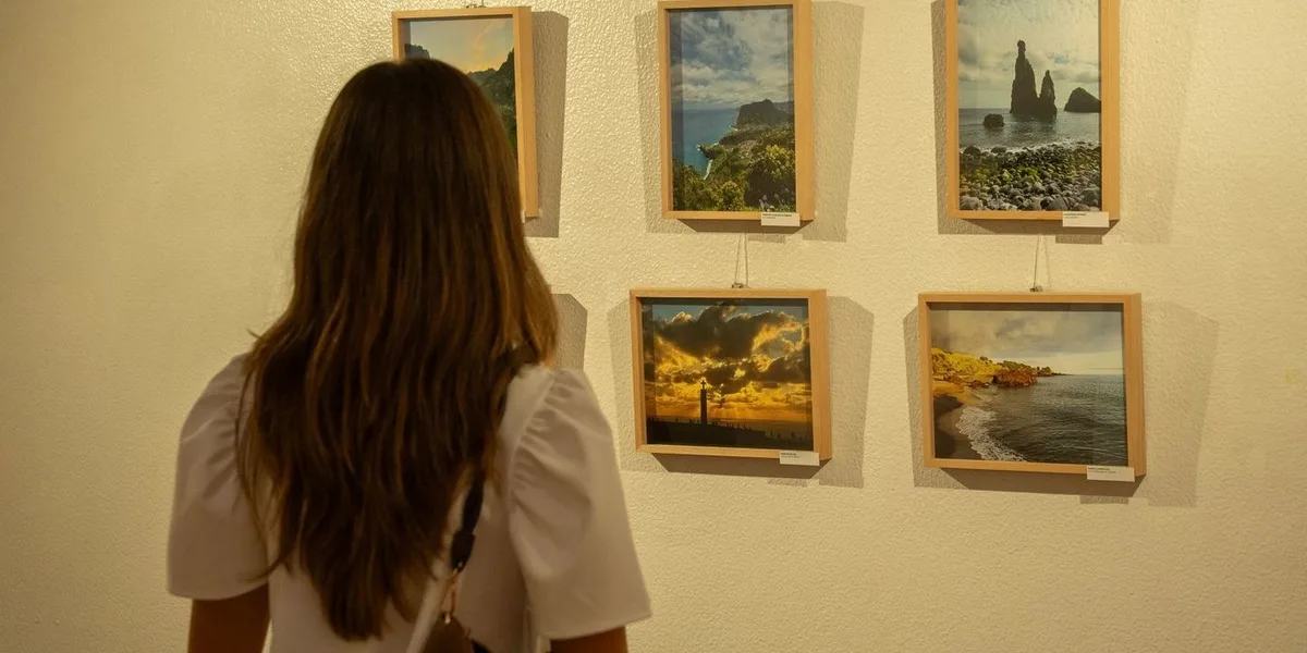 Entre uma viagem e outra, estes motoristas encontraram um Portugal para fotografar