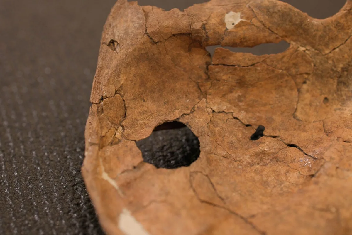 A Spear Wound Likely Killed This Neanderthal, but It Tells a Very Human Story