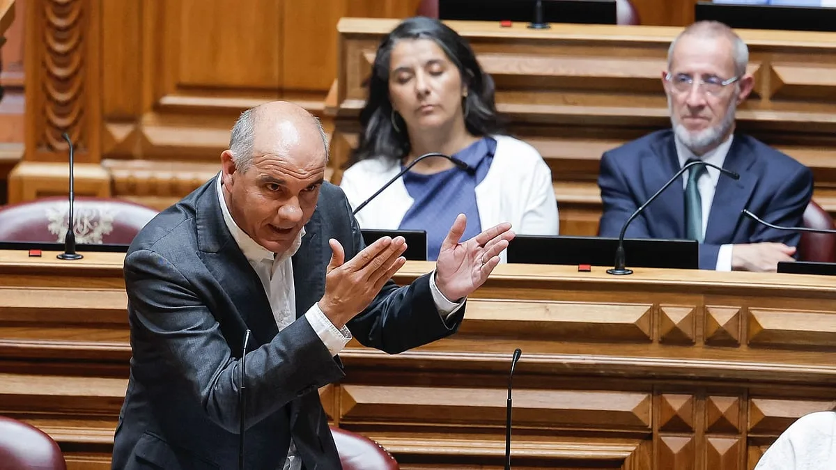 PCP pergunta ao Governo se está disponível para "assumir controlo público efetivo da REN"