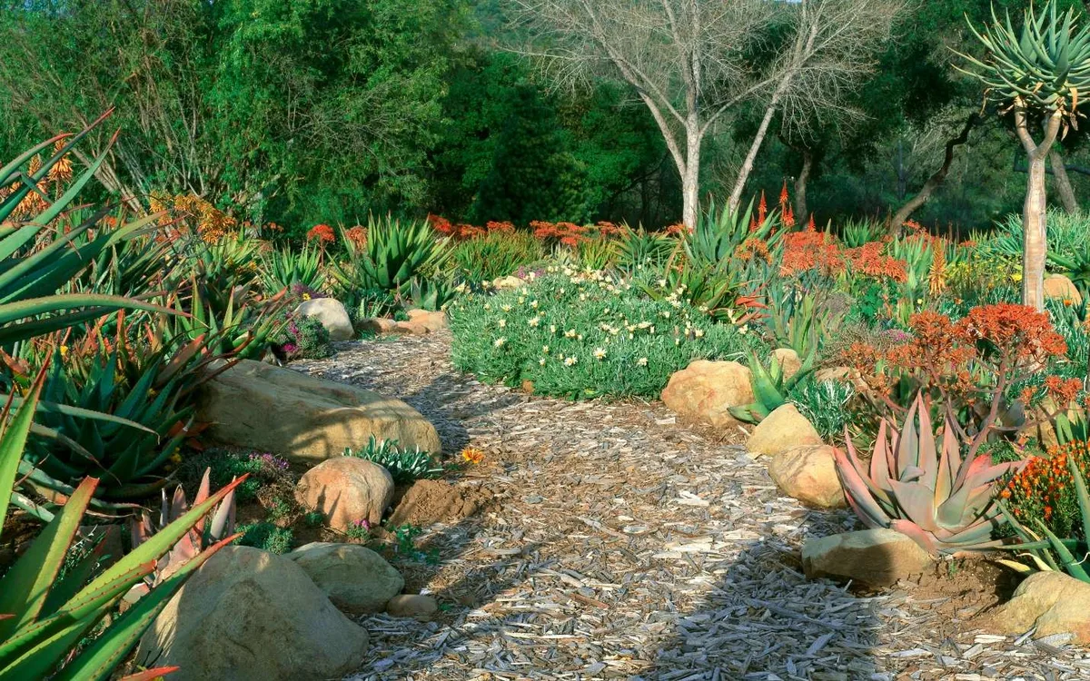 Voici le jardin du futur : le xéropaysagisme ou le secret d’un extérieur magnifique malgré les étés secs
