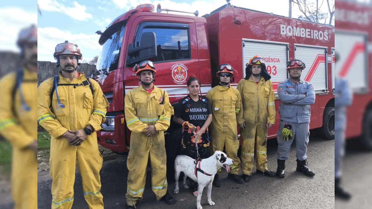Cachorro é resgatado após cair de penhasco de 15 metros em Marília