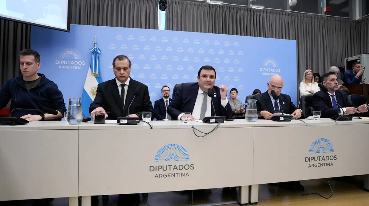 Diputados: el oficialismo busca bajar la tensión por Discapacidad mientras avanzan los dictámenes