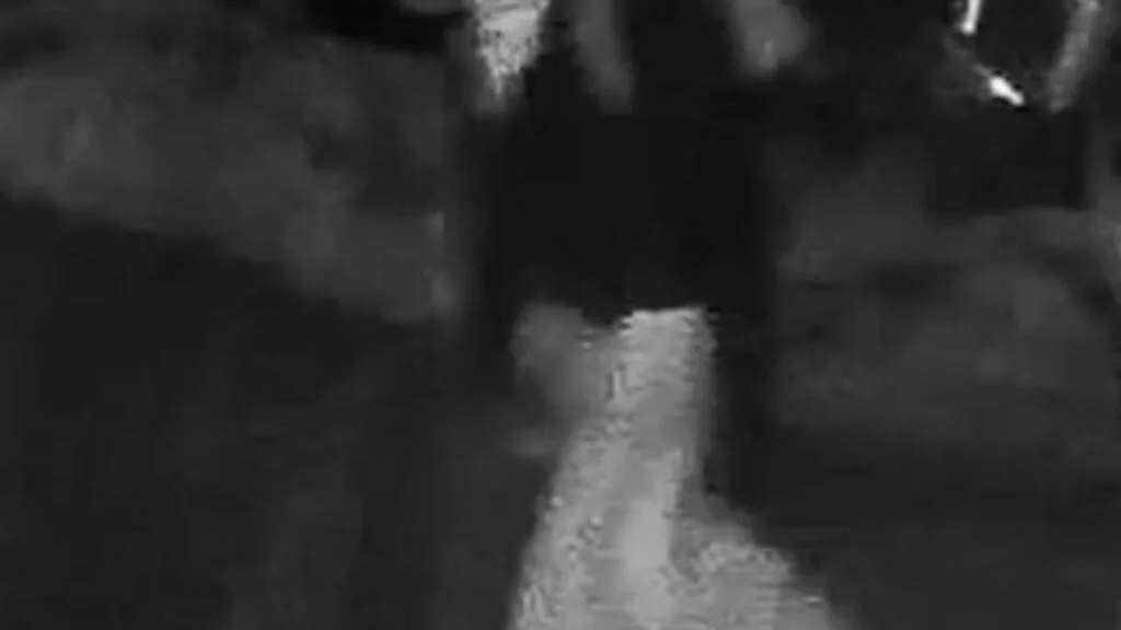 Two men seriously injured after masked gang armed with axes and machetes storms Perth home