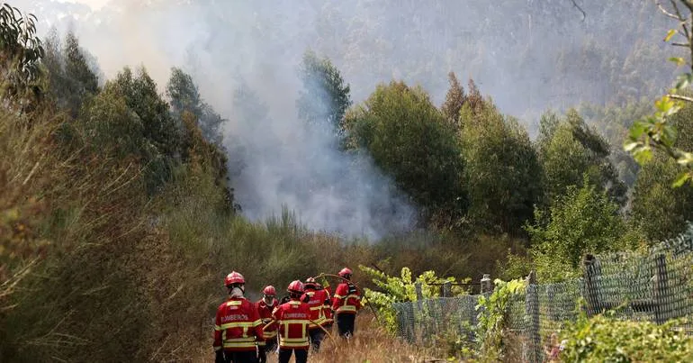 Proteção Civil alerta para risco de incêndios rurais