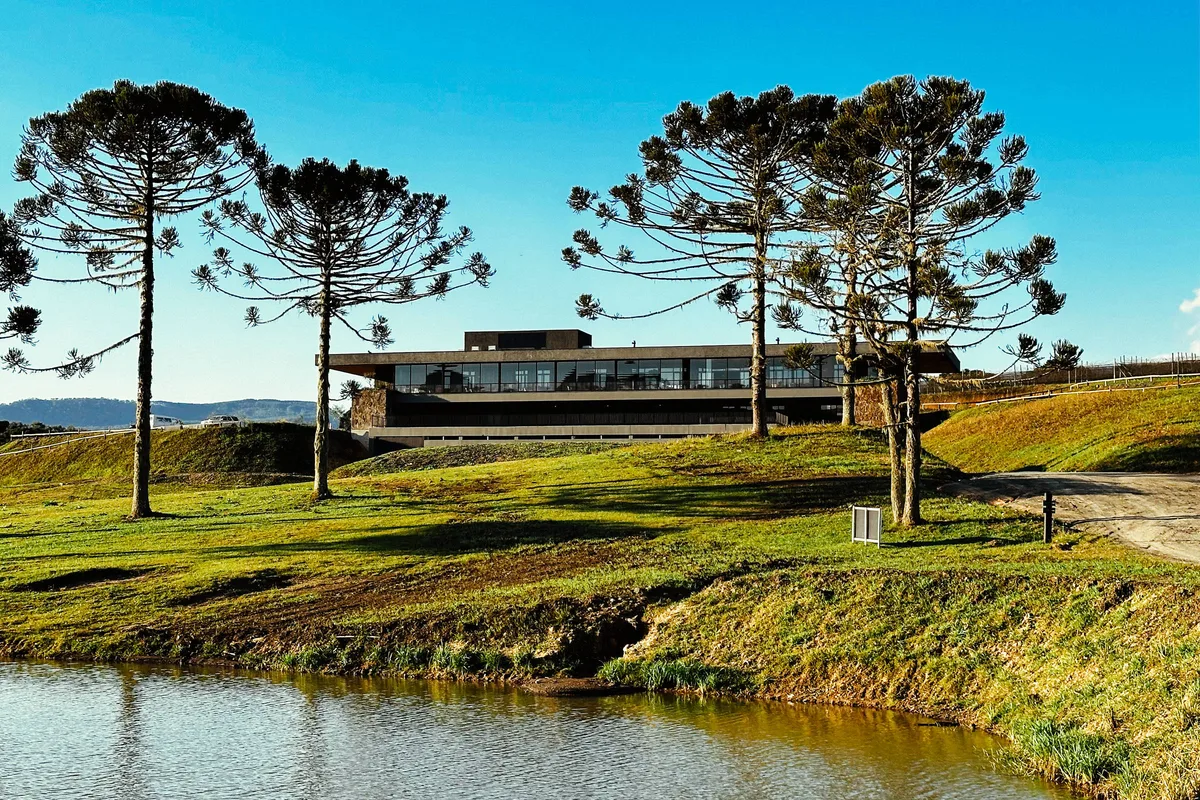 Entre taças e araucárias na Serra Catarinense