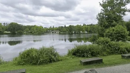 Découverte d'un corps dans un lac des Landes : trois jeunes hommes mis en examen pour assassinat et placés en détention provisoire
