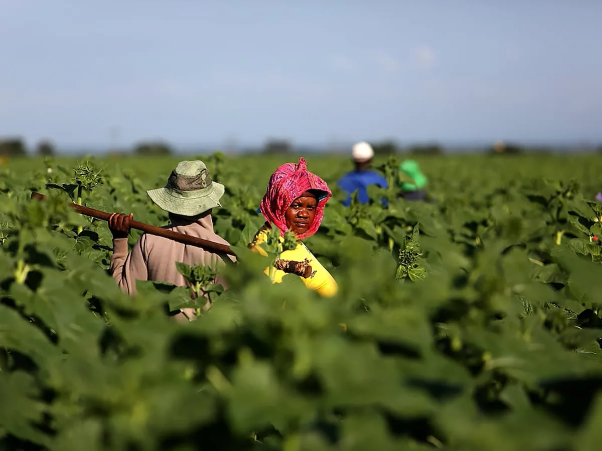 WANDILE SIHLOBO | Farmers brace for costly 2026/27 season