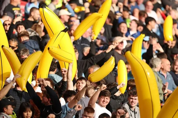 Man City cult hero making fortune from inflatable banana business amid 114 charges scandal
