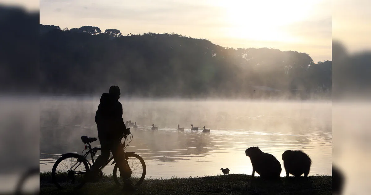 PR deve ser atingido por frio intenso com temperatura de 0 ? nos próximos dias